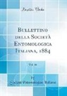 Società Entomologica Italiana - Bullettino della Società Entomologica Italiana, 1884, Vol. 16 (Classic Reprint)