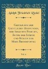 Adolph Friedrich Riedel - Geschichte der Geistlichen Stiftungen, der Adlichen Familien, So wie der Städte und Burgen der Mark Brandenburg, Vol. 6 (Classic Reprint)