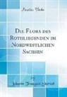 Johann Traugott Sterzel - Die Flora des Rothliegenden im Nordwestlichen Sachsen (Classic Reprint)