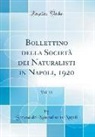 Società Dei Naturalisti In Napoli - Bollettino della Società dei Naturalisti in Napoli, 1920, Vol. 33 (Classic Reprint)