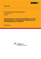 Tobias Kutsch - Ionenextraktion aus einem Wasserstoffplasma in einem helikalen Resonator.  Konzipierung, Charakterisierung und Validierung einer Ionenquelle