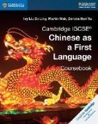 Sandra Hon Yu, Ivy Liu So Ling, Ivy Mak Liu So Ling, Martin Mak - Cambridge Igcse Chinese As a First Language Coursebook
