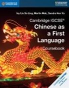 Sandra Hon Yu, Ivy Liu So Ling, Ivy Mak Liu So Ling, Martin Mak - Cambridge Igcse Chinese As a First Language Coursebook