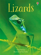 James Maclaine, Paul Parker - Lizards