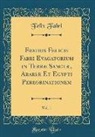 Felix Fabri - Fratris Felicis Fabri Evagatorium in Terræ Sanctæ, Arabiæ Et Egypti Peregrinationem, Vol. 1 (Classic Reprint)