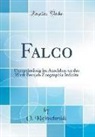 O. Kleinschmidt - Falco