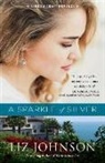 L Johnson, Liz Johnson - Sparkle of Silver
