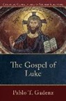 Pablo T Gadenz, Pablo T. Gadenz, Mary Healy, Peter Williamson, Mary Healy, Peter Williamson - The Gospel of Luke