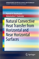 Abdulrahim Kalendar, Abdulrahim Y Kalendar, Abdulrahim Y. Kalendar, Patrick Oosthuizen, Patrick H Oosthuizen, Patrick H. Oosthuizen - Natural Convective Heat Transfer from Horizontal and Near Horizontal Surfaces
