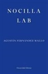 Agustin Fernandez Mallo, Agustín Fernández Mallo - Nocilla Lab