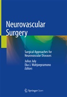Julius July, J Wahjoepramono, J Wahjoepramono, Juliu July, Julius July, Eka J Wahjoepramono... - Neurovascular Surgery