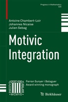 Antoin Chambert-Loir, Antoine Chambert-Loir, Johanne Nicaise, Johannes Nicaise, Ju Sebag, Julien Sebag - Motivic Integration