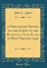 John C. Shaw - A Preliminary Report on the Survey of the Blind and Near Blind in West Virginia 1926 (Classic Reprint)