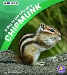 Sharon Katz Cooper, Sharon Katz Cooper - A Day in the Life of a Chipmunk