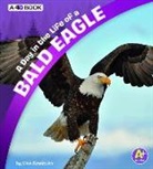 Lisa J Amstutz, Lisa J. Amstutz - A Day in the Life of a Bald Eagle