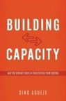 Sino Agueze - Building Capacity