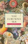 Melissa Barbeau - The Luminous Sea