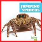 Jenna Lee Gleisner - Jumping Spiders