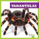 Kristine Spanier - Tarantulas