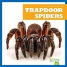Kristine Spanier - Trapdoor Spiders