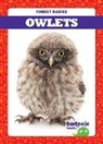 Genevieve Nilsen - Owlets