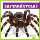 Kristine Spanier - Las Tarántulas (Tarantulas)