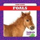 Tim Mayerling - Foals