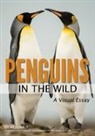 Joe McDonald - Penguins in the Wild