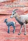 Jerri Conrad, Patrick Turner - Our Arizona: Baby Animals