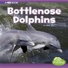 Kathryn Clay - Bottlenose Dolphins