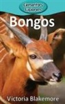 Victoria Blakemore - Bongos