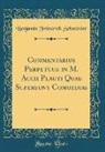 Benjamin Friedrich Schmieder - Commentarius Perpetuus in M. Accii Plauti Quae Supersunt Comoedias (Classic Reprint)