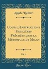 Angelo Raineri - Cours d'Instructions Familières Prèchées Dans La Métropole de Milan, Vol. 4 (Classic Reprint)