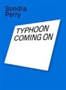 Amir Gad, Amira Gad - Sondra Perry. Typhoon coming on