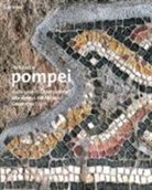 C. Cicirelli - Restauri a Pompei. Dalle case di Championnet alla domus dei Mosaici Geometrici