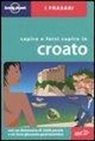 Gordana Ivetac, Ivan Ivetac, C. Dapino - Capire e farsi capire in croato