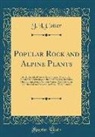 J. L. Cotter - Popular Rock and Alpine Plants