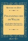 Hermann von Fürst - Pflanzenzucht im Walde