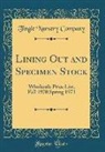 Tingle Nursery Company - Lining Out and Specimen Stock