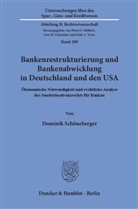 Dominik Schöneberger - Bankenrestrukturierung und Bankenabwicklung in Deutschland und den USA.