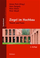 Han Gangoly, Hans Gangoly, Pete Holzer, Peter Holzer, Peter Maydl, Anto Pech... - Ziegel im Hochbau