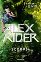Anthony Horowitz, Werner Schmitz - Alex Rider, Band 5: Scorpia (Geheimagenten-Bestseller aus England ab 12 Jahre)