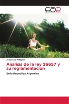 Jorge Luis Pellegrini - Analisis de la ley 26657 y su reglamentacion