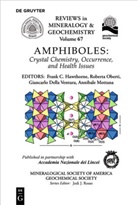 Giancarlo Della Ventura, Giancarlo Della Ventura et al, Frank C. Hawthorne, Annibale Mottana, Robert Oberti, Roberta Oberti - Amphiboles
