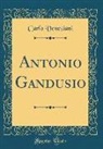 Carlo Veneziani - Antonio Gandusio (Classic Reprint)