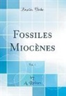 A. Brives - Fossiles Miocènes, Vol. 1 (Classic Reprint)