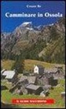 Cesare Re - Camminare in Ossola