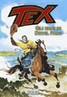Gianluigi Bonelli, Giovanni Ticci - Tex. Gli eroi di Devil Pass
