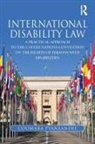 Coomara Pyaneandee - International Disability Law
