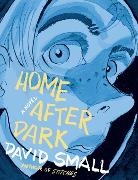 SMALL, David Small - Home After Dark